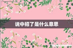 说中招了是什么意思