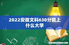 2022安徽文科630分能上什么大学