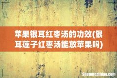 银耳莲子红枣汤能放苹果吗 苹果银耳红枣汤的功效
