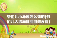 爷们儿大结局陈丽回来没有 爷们儿小马添怎么死的