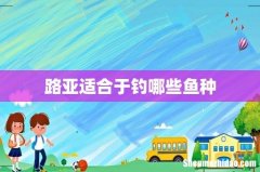 路亚适合于钓哪些鱼种