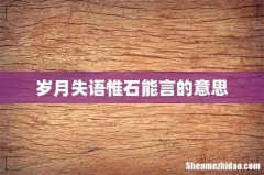 岁月失语惟石能言的意思