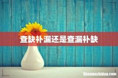 查缺补漏还是查漏补缺