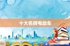十大名牌电动车