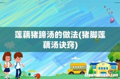 猪脚莲藕汤诀窍 莲藕猪蹄汤的做法