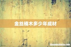 金丝楠木多少年成材
