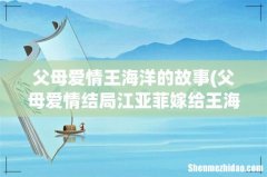 父母爱情结局江亚菲嫁给王海洋了吗？ 父母爱情王海洋的故事