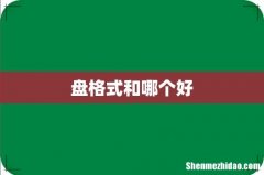 盘格式和哪个好