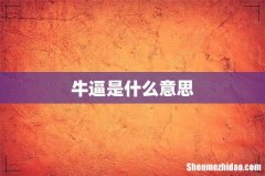 牛逼是什么意思