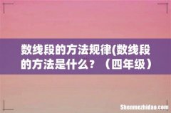 数线段的方法是什么？不要公式 四年级 数线段的方法规律