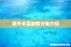 花开半夏剧情分集介绍