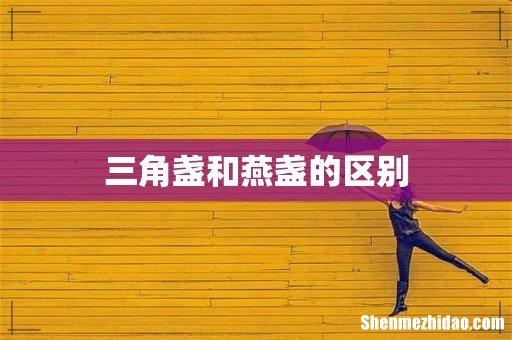 三角盏和燕盏的区别