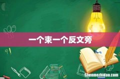 一个束一个反文旁