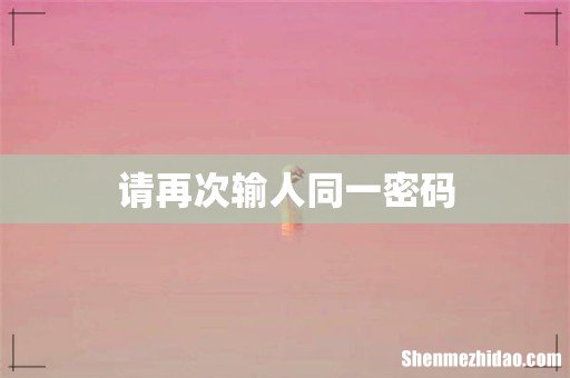 请再次输人同一密码