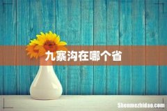 九寨沟在哪个省