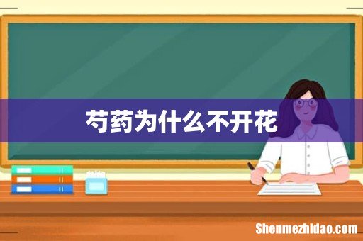 芍药为什么不开花