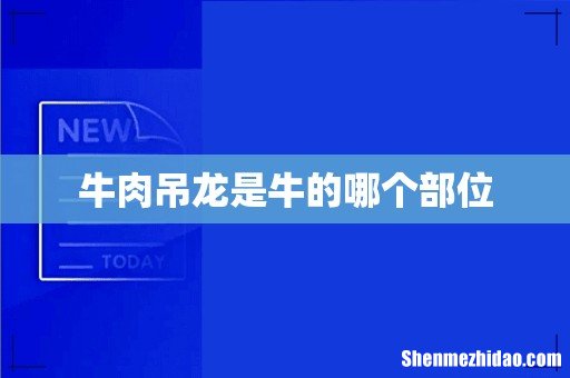 牛肉吊龙是牛的哪个部位