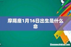 摩羯座1月16日出生是什么命
