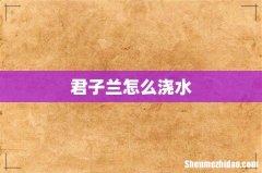 君子兰怎么浇水