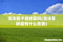 泡沫箱种菜有什么危害 泡沫箱子能种菜吗