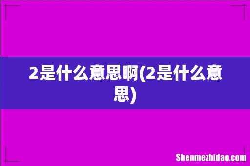 2是什么意思 2是什么意思啊