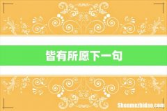 皆有所愿下一句