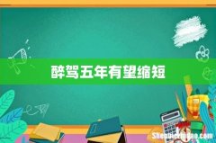 醉驾五年有望缩短