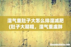 肚子大腿粗，湿气重虚胖怎么排湿减肥 湿气重肚子大怎么排湿减肥