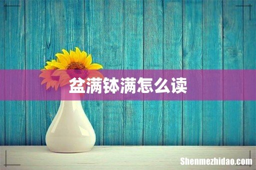 盆满钵满怎么读