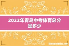 2022年青岛中考体育总分是多少