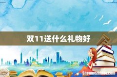 双11送什么礼物好