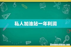 私人加油站一年利润