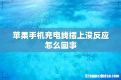 苹果手机充电线插上没反应怎么回事