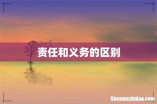 责任和义务的区别