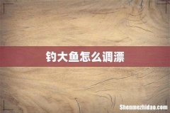钓大鱼怎么调漂