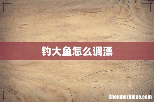 钓大鱼怎么调漂