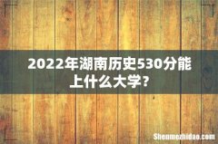 2022年湖南历史530分能上什么大学？