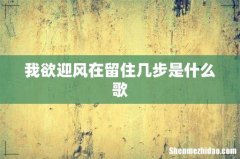 我欲迎风在留住几步是什么歌