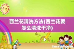 西兰花要怎么清洗干净 西兰花清洗方法