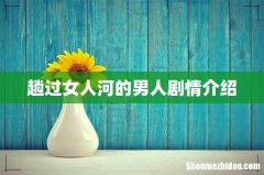 趟过女人河的男人剧情介绍