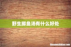 野生鲫鱼汤有什么好处