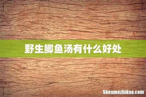 野生鲫鱼汤有什么好处