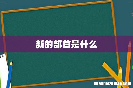 新的部首是什么