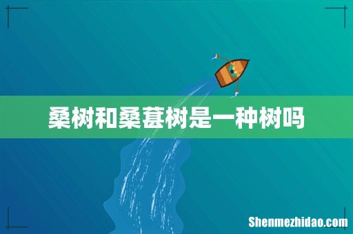 桑树和桑葚树是一种树吗