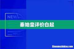 秦始皇评价白起