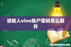请输入vivo账户密码怎么解开
