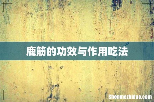 鹿筋的功效与作用吃法