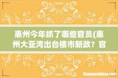 惠州大亚湾出台楼市新政？官方回应：只是意见稿并非最终文件 惠州今年抓了哪些官员