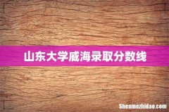 山东大学威海录取分数线