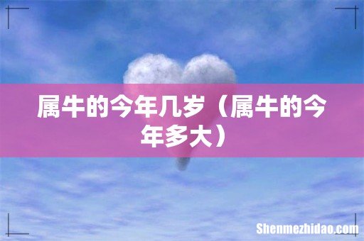 属牛的今年多大 属牛的今年几岁